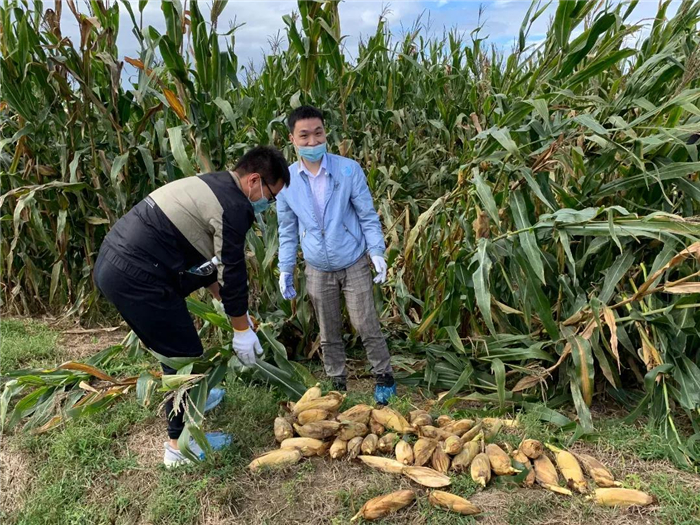 1638506653920.jpg 6.jpg